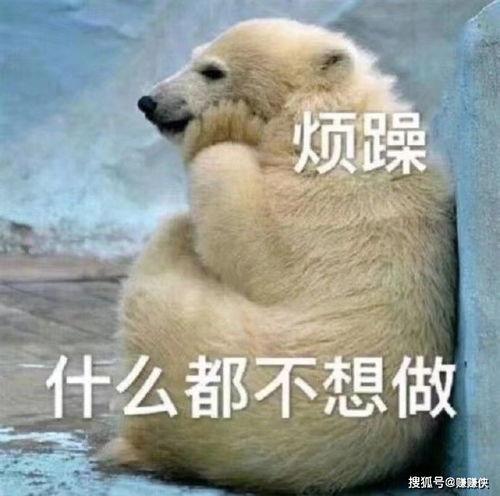 吃瓜群众专用图,揭秘“吃瓜群众”专用图背后的趣味与真相